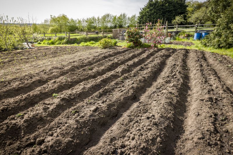 Land Preparation and Soil Quality