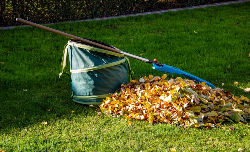 Leaf Pile Collection