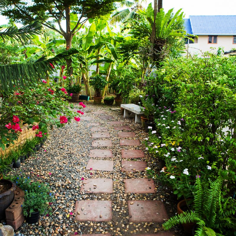 Tropical Garden Path