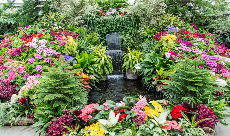 Water Features in Tropical Landscapes